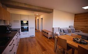 Strunzova pila Kvilda apartmán 308